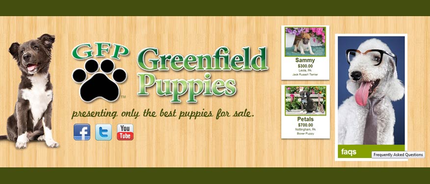 Greenfield Puppies - MIND Development Design & SEO